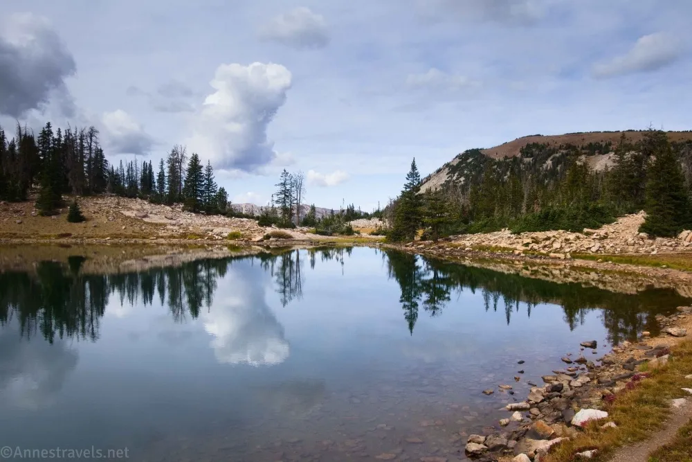 A cloud and trees are reflected in an alpine lake 