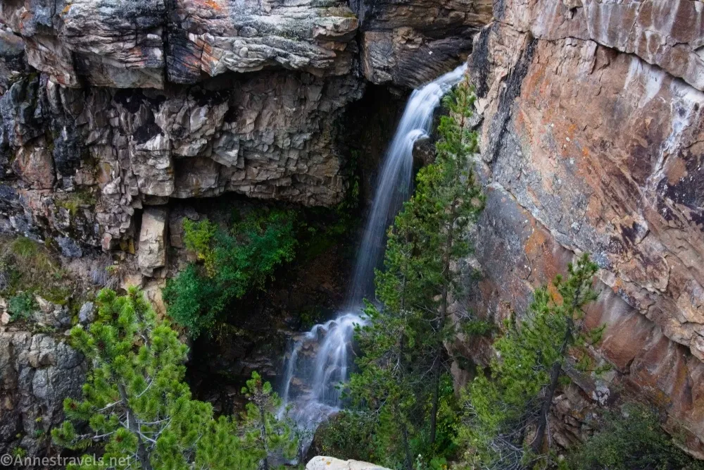 A waterfall drops between sheer cliffs with fir trees in the foreground 