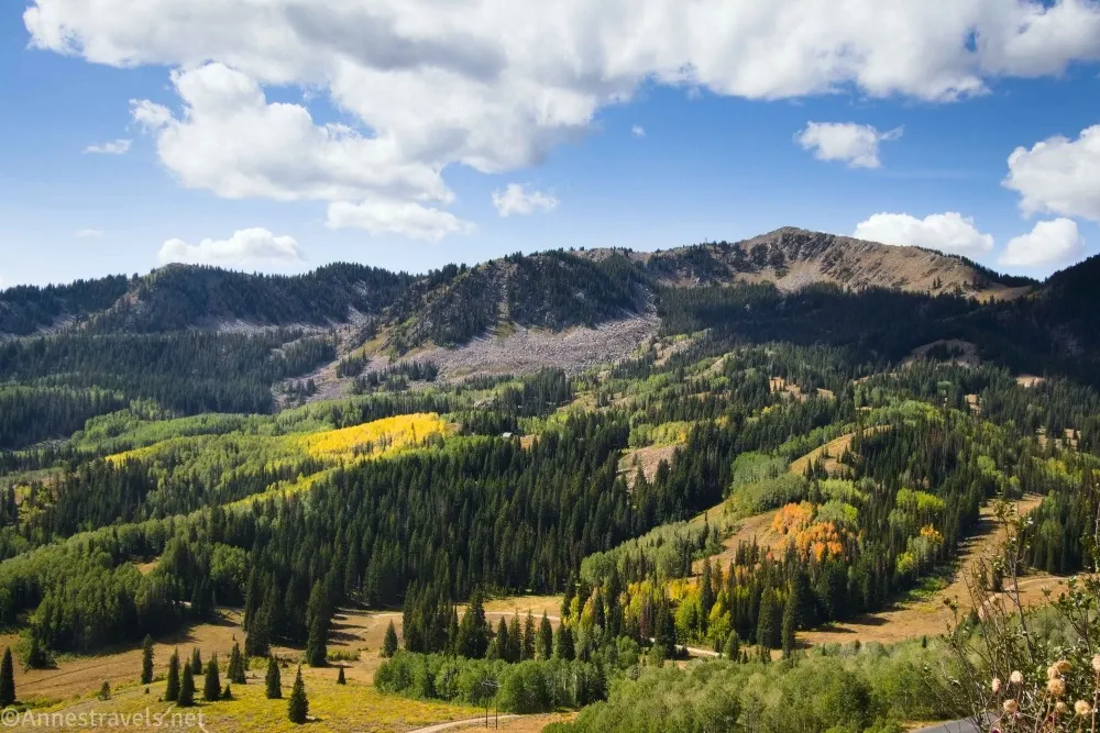 Clouds hang in a blue sky above a mountain ridgeline with dark green fir trees, lighter deciduous trees, and yellow aspens 
