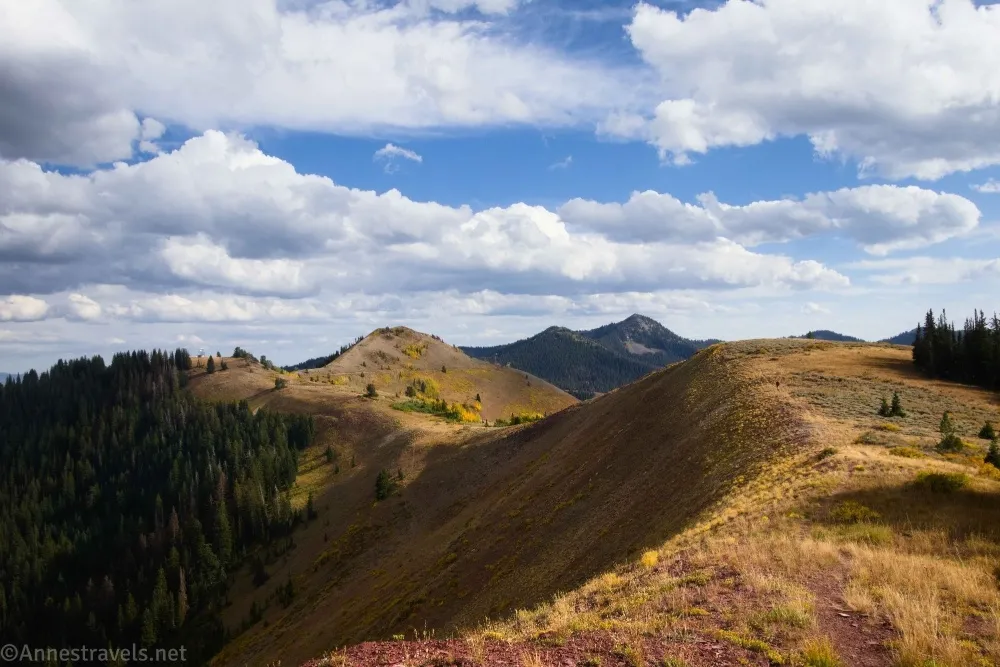 Puffy clouds in a light blue sky hang over a yellow meadow of a mountainous ridgeline
