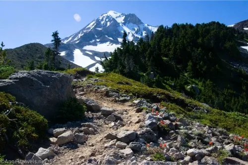 A trail travels between rocks and into meadows below a fir-studded hillside with Mount Hood beyond