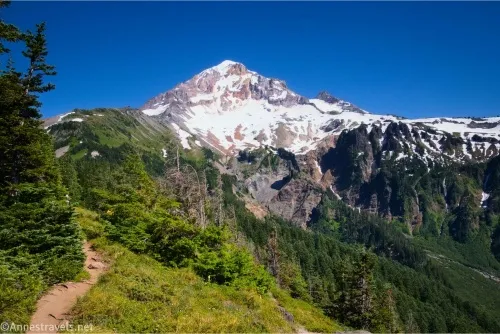 A dirt trail on the left of a green hillside below snow and rock of Mount Hood