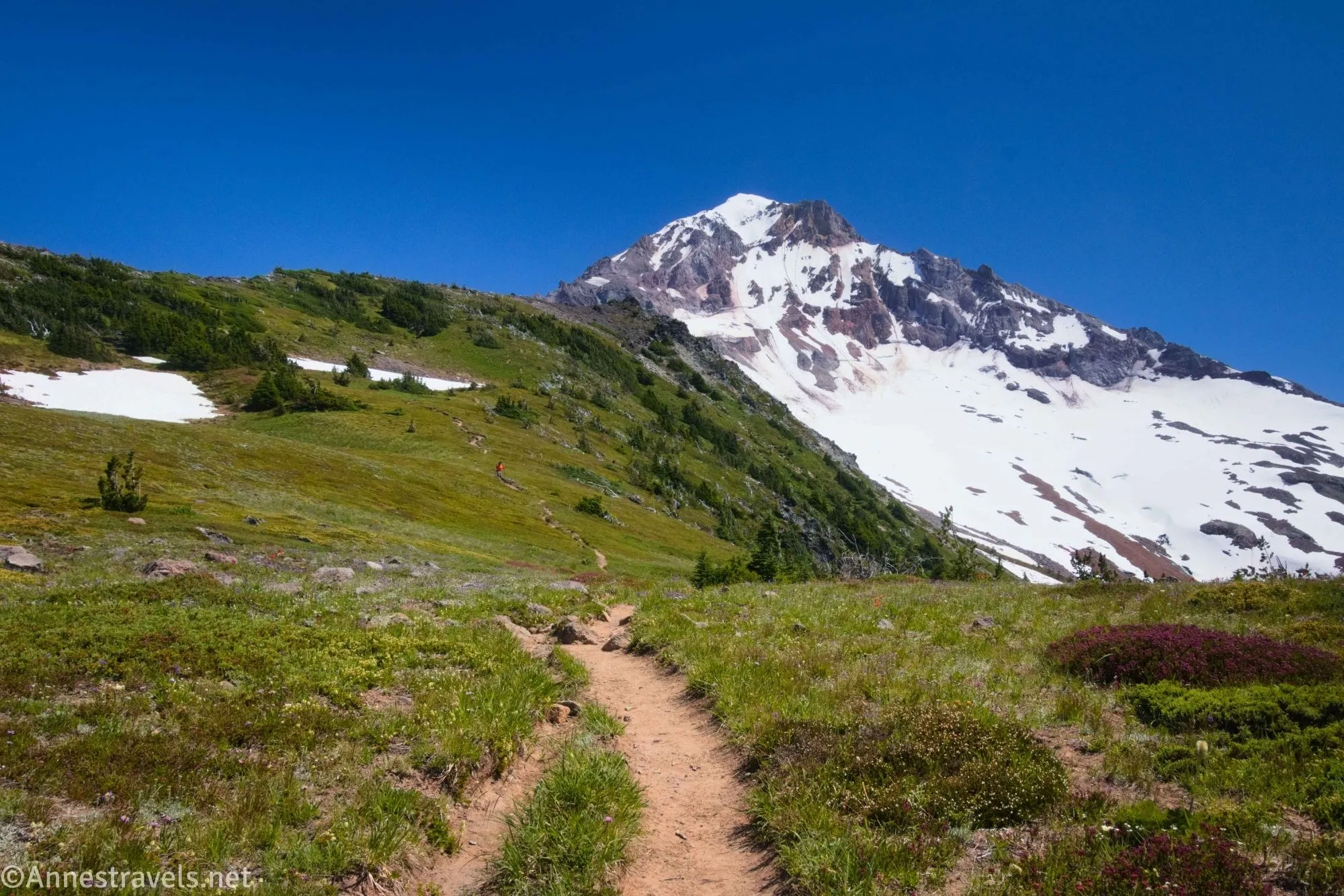 A trail cuts through meadows with a huge, showy mountain beyond a green meadowed hill