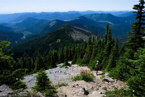 Fir trees stand below a rocky hillside with distant green and blue hazy mountains 