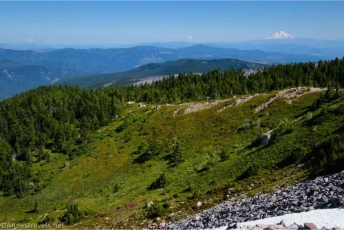 Meadows give way to fir trees which in turn become blue hills with snowy mountains on the horizon