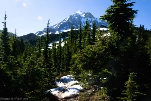 Rocky Mount Hood rises above fir trees and a little bit of last season's snow