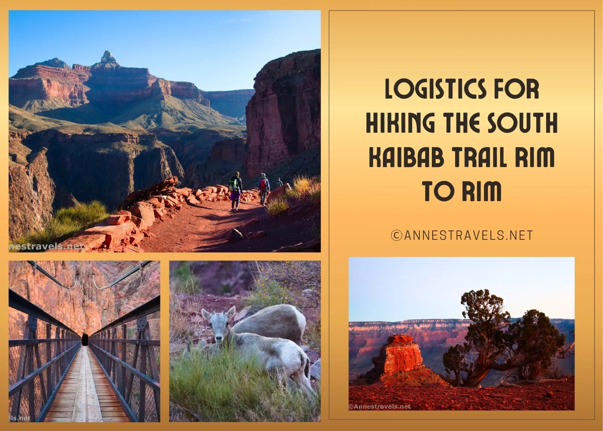 Various views of the Grand Canyon including the trail, a bridge, a baby bighorn sheep, and sunrise on McNeil Butte