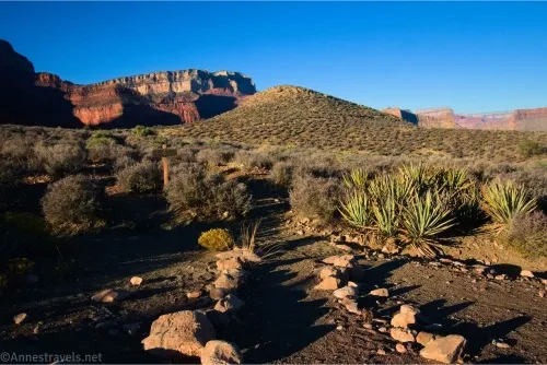 Rocks and yucca plants frame a trail across the plain with Grand Canyon Cliffs on the horizon