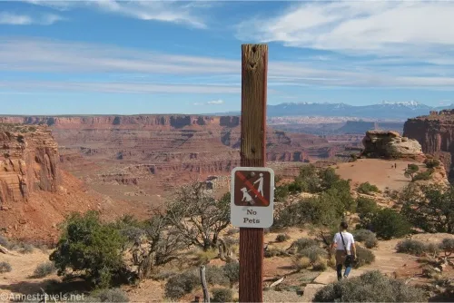 A signpost with a sign for no pets with a trail and a hiker traveling toward distant cliffs