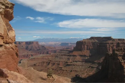 Cliffs rise over Shafer Canyon with views to the La Sal Mountains