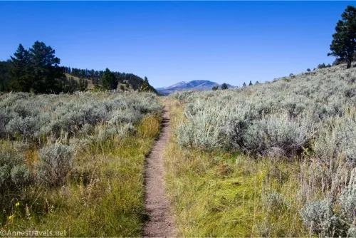 A trail winds through a meadow of sage brush with a gray mountain beyond