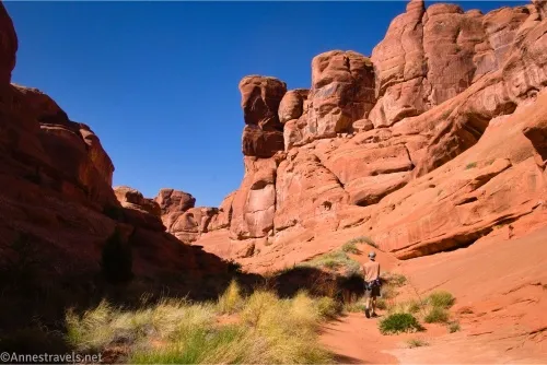 Red cliffs rise above a hiker and yellow grass