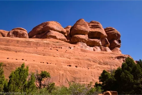 A red slickrock cliff and rock formations tower above green trees