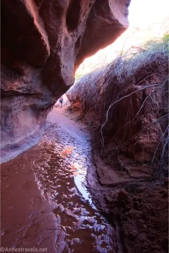 Water flows down a muddy streambed hemmed in by rock walls