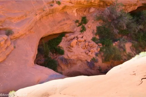A desert canyon drops from a slickrock shelf to a sandy, rocky, and brushy wash