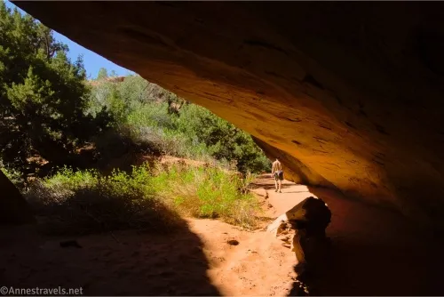 A hiker walks a sandy wash beside greenery under a slab of rock