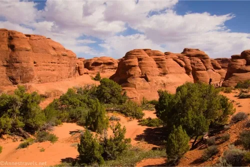 Clouds sail above red slickrock domes and green trees