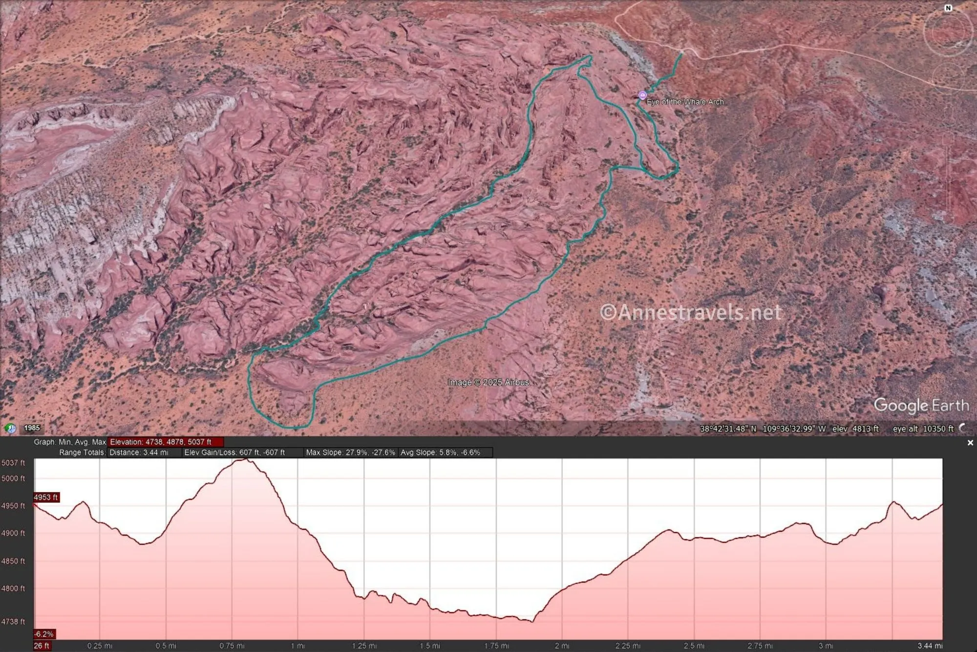 Aerial map with a green line marking my hike through Whale Canyon and a pink elevation profile