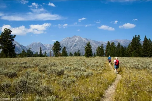 Two hikers on a small path through a meadow with fir trees and mountains in the background 