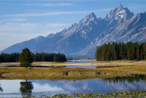 Craggy mountains tower over fir trees and yellow meadows around a small lake with geese and the reflection of the mountains and trees 