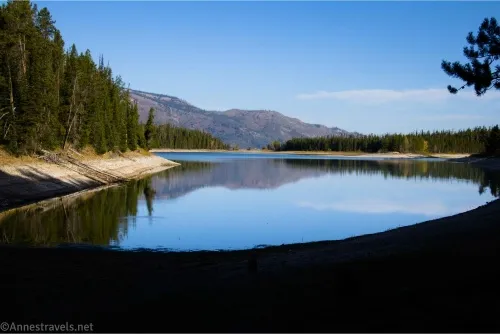 Trees line the shoreline of a quiet cove with reflections of mountains 