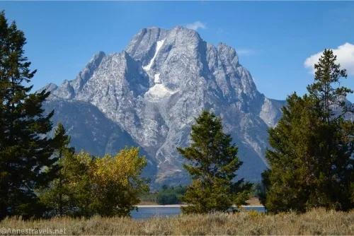 A rocky, towering mountain rises from behind fir trees