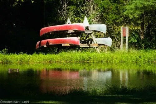 Two red canoes and two silver canoes rest on a canoe rack and are reflected in a small pond separated from the rack by very green grass