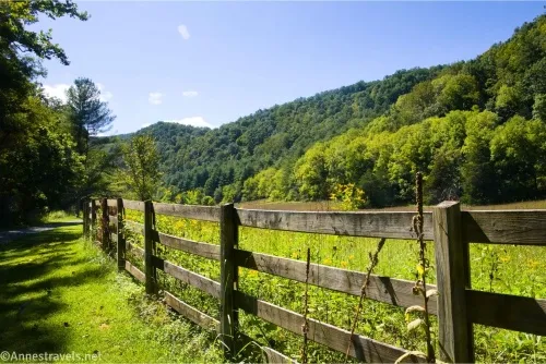 A fence separates a meadow from the road with treed hills beyond