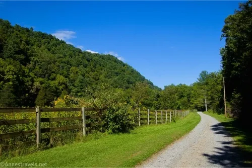 A gravel road winds between grassy meadows bordered by a fence beyond which is a treed hillside