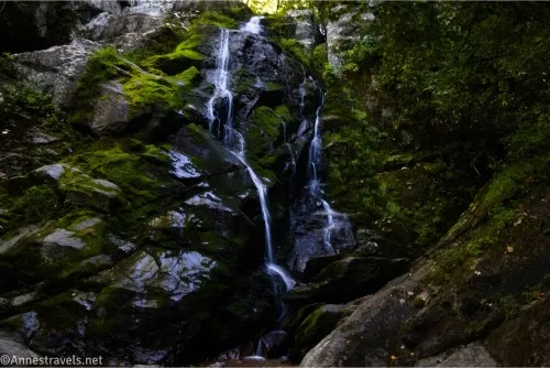 A waterfall tumbles down a mossy rock face