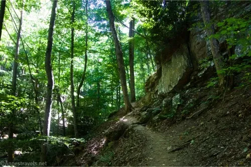 A narrow path on the side of a hill surrounded by trees