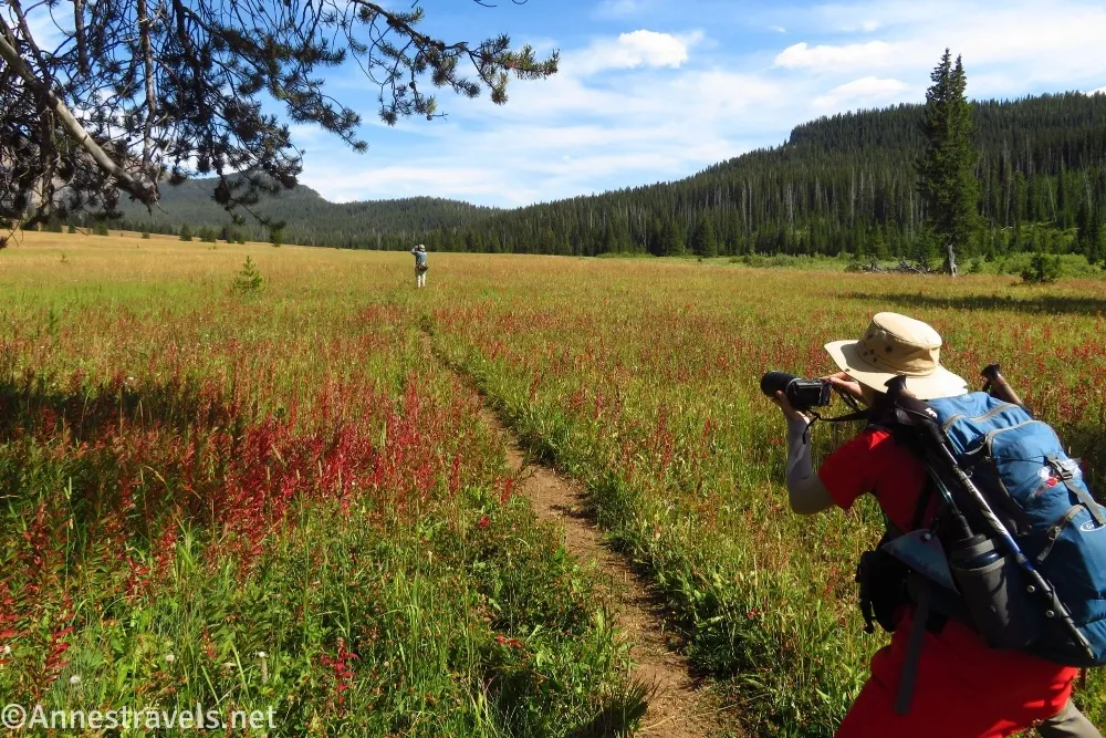 A hiker in a hat, red dress, and blue backpack stands astride a trail in a green, red, and yellow meadow taking a picture of another hiker