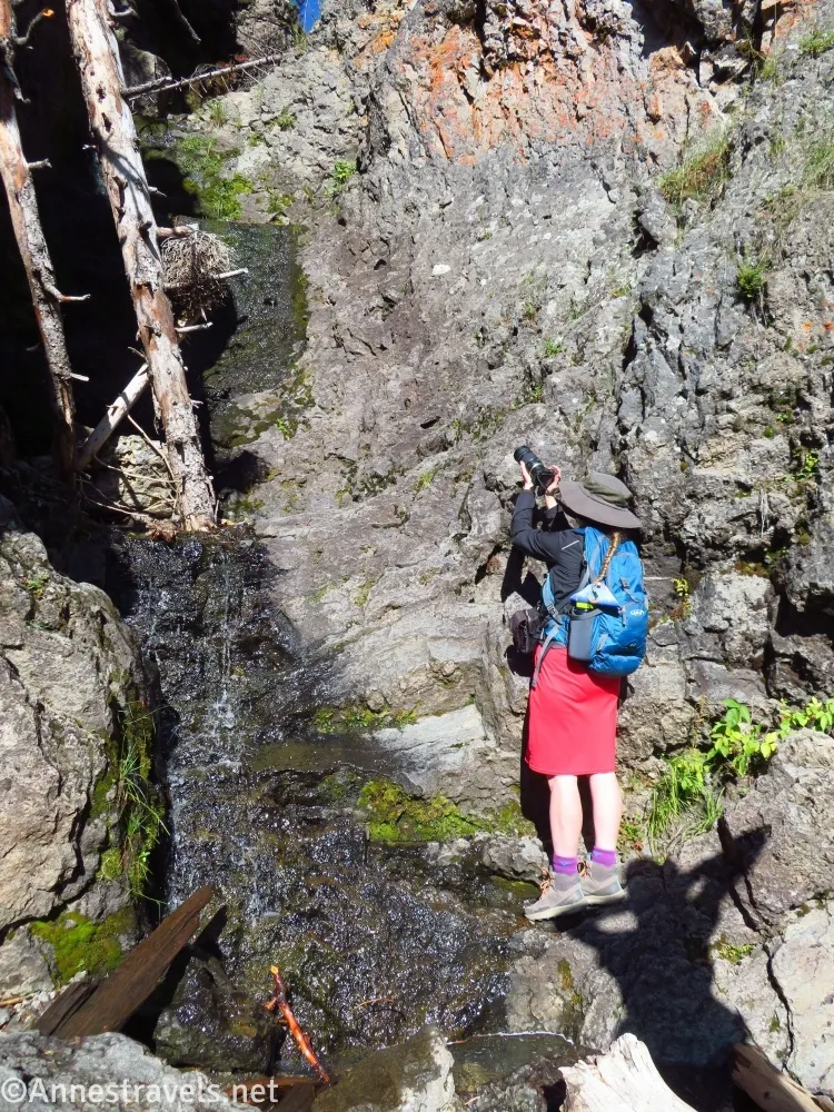A hiker in a red dress, purple socks, blue backpack, black jacket, and green hat takes a picture up a rocky cliff