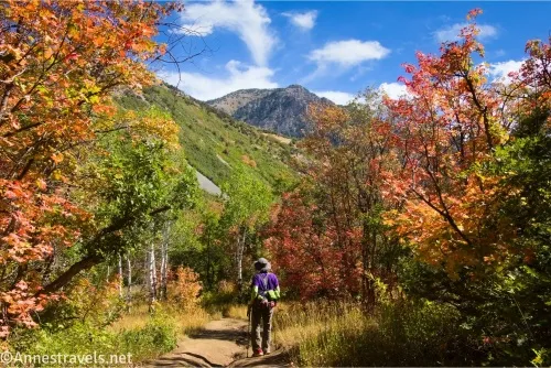 A hiker stands on a trail between colorful autumn trees with views to a mountain beyond a green hillside 
