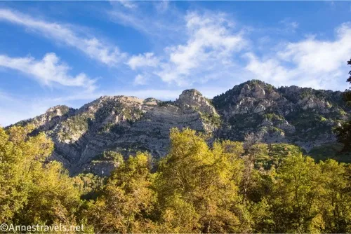 Cliffs rise above yellow trees to a sky with a few clouds