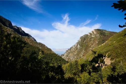 A cloud sails past the end of a canyon rimmed by green mountains 