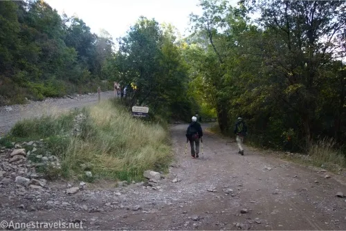 Two dirt roads travel along a hillside, divided by a sign and a grassy part of the hill, both rimmed by trees 