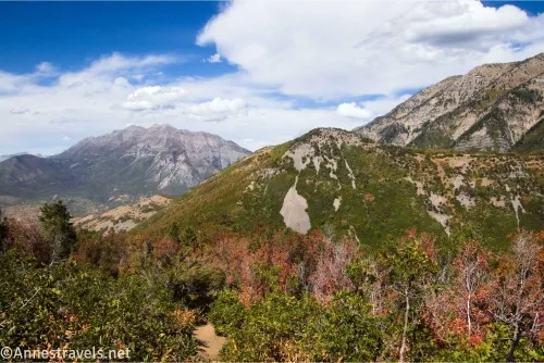 Three mountains, one far away, and the closest is green with colorful trees in the foreground