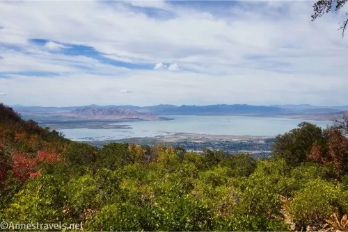 Bushes on front of a large lake in the distance under cloudy skies