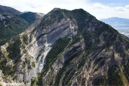 A mountain with many layers of rock and trees 