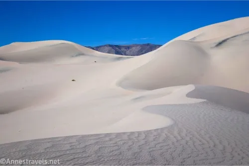 Waving lines of the top of a sand dune