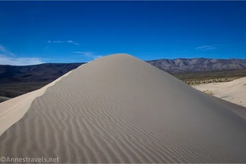 A sand dune rises in a curve with mountains beyond