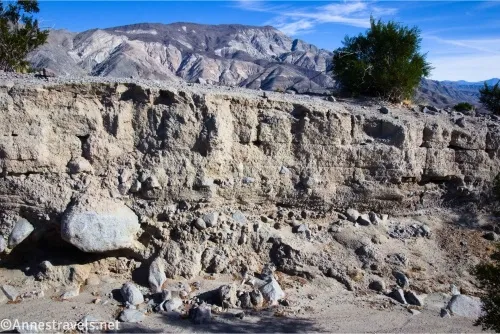 A wall marks the edge of the wash with a bush atop the wash and mountains beyond