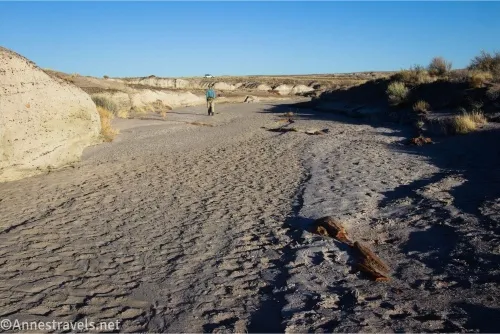 A broad wash passes between desert grass and high banks