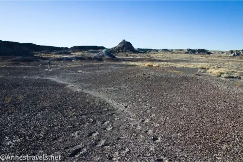 Footprints in the dirt lead across a desert plain toward badland hills