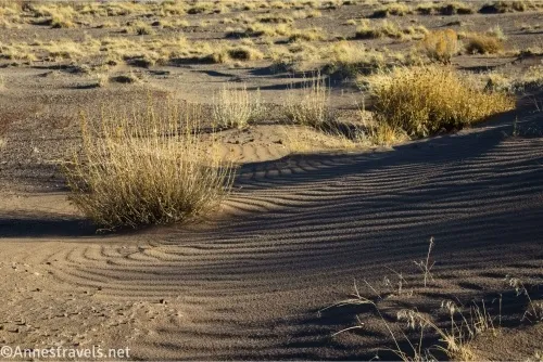 Waving lines in the sand and tufts of yellow grass on a desert plain