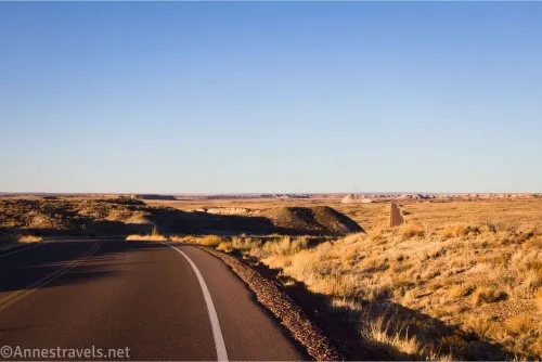 A road travels across yellow, grassy hills below a clear blue sky in the evening