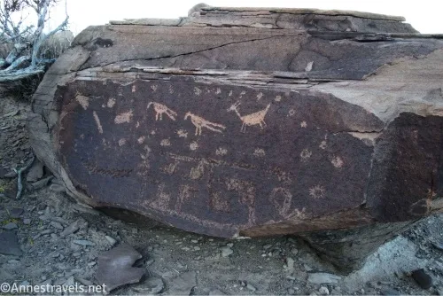 Birds and a sheep and more rock art figures on a boulder in the desert 