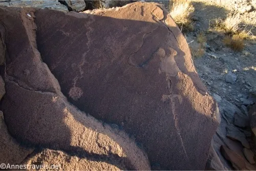 Rock art in the shape of a snake and a lizard on a boulder in the desert 