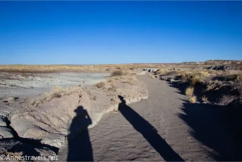 Shadows in a dry desert wash 
